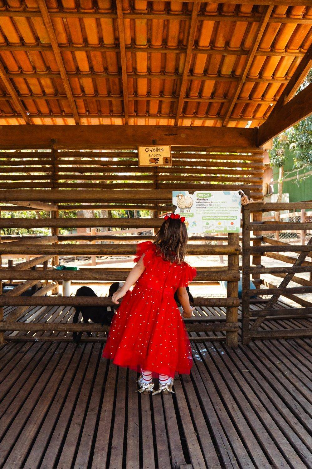 Menina de vestido olhando os animais no deck